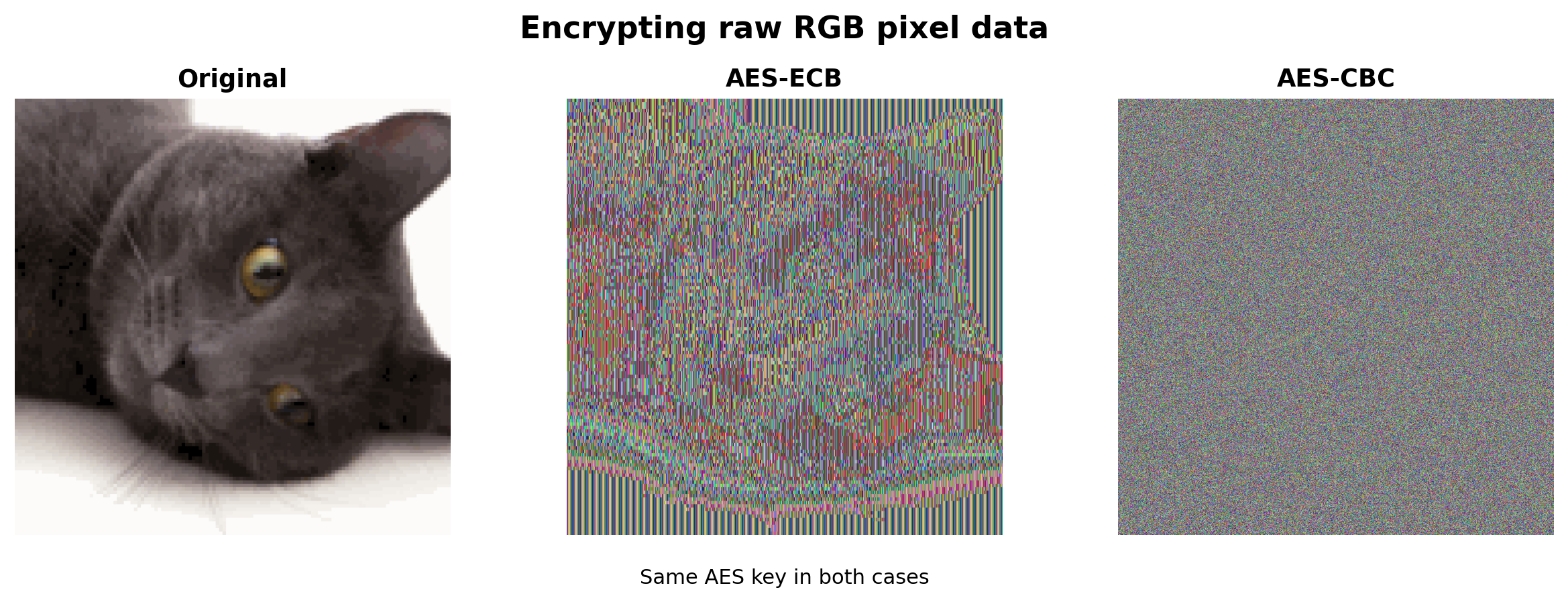 Daily AlpacaHack: AES is dead Writeup preview